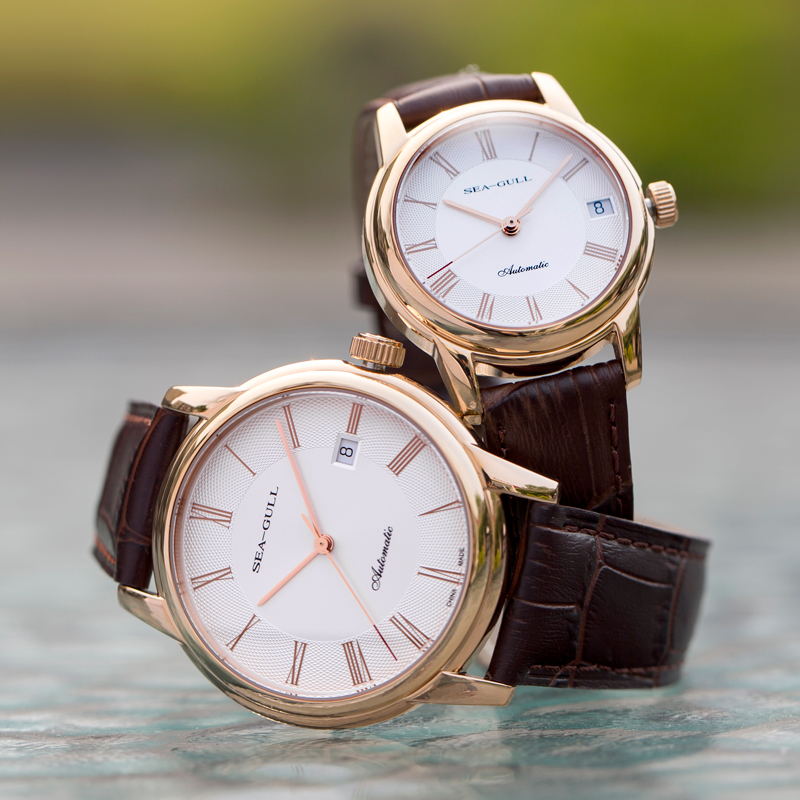 Seaghydr-montre mécanique pour - Seiko Watch Presage avis et prix
